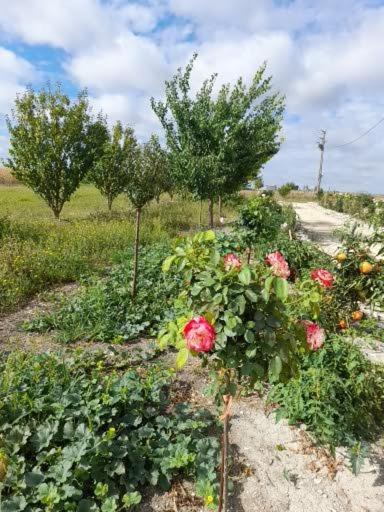 La Crotiniere Villa Marmagne  Eksteriør billede